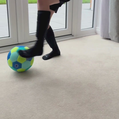 The Indoor Ball - Aqua Sprint
